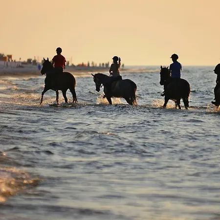 Apartamentyprzymorzu Solna 201 - W Centrum Blisko Morza *