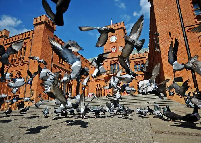 Apartamentyprzymorzu Solna 201 - W Centrum Blisko Morza Апартаменты *